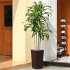 DR.Planzen UV Resistant Artificial 6-7FT Tall Pre Potted Dracaena Tree with White/Brown Tall Square Planter for Indoor Outdoor House Home Decor - 2 of 4