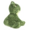 Aurora Dreamy Eyes 10 Fantabulous Frog Green Stuffed Animal : Target