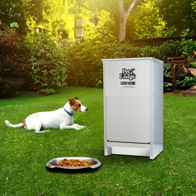 Silver Heavy Gauge Steel Automatic Dog Feeder for Small to Medium Breeds