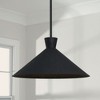 Capital Lighting Paloma 1 - Light Pendant in  Textured Black - 4 of 4