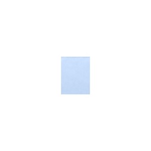 LUX Paper 11" x 17" Baby Blue 1000 Qty (1117-P-13-1M) - 1 of 1