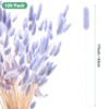 Unique Bargains Artificial Dried Flowers Realistic Look Pampas Bunny Tails Grass 17 Inch - 3 of 4