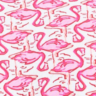 pink flamingo geo