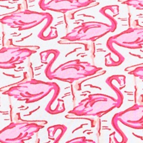 pink flamingo geo