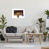 Stupell Industries Wild Cougar Resting Head Interesting Illusion Painting Framed Giclee Art - 3 of 4