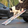Sevobal Pet Steps and Ramps, Folding Portable Pet Stair Ramp with Handle, Dog Steps for Enter Car Truck, Multicolored, 37.4"*16.73"*63.5" - 2 of 4