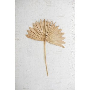Large Natural Sun Palm Spear – Dried Botanical Decorative Accent 16" Tall by Kalalou - 1 of 3