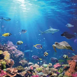 Toynk Under the Sea Coral Reef 500 Piece Jigsaw Puzzle