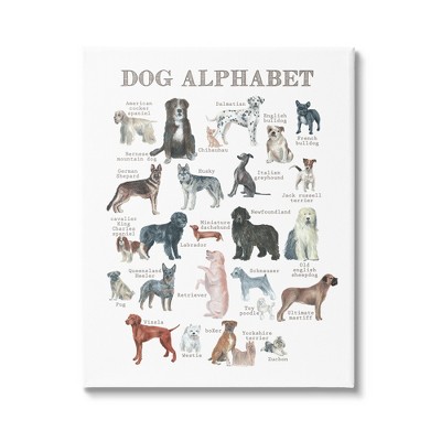 Stupell Industries Dog Alphabet Animal ABC's Gallery Wrapped Canvas Wall Art