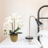 Floral Home 33.5" White Phalaenopsis Stem with 9 Flowers - 12-Piece - 4 of 4