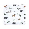 Hudson Baby Infant Boy Cotton Flannel Receiving Blankets, Woodland Tales, One Size - 3 of 4