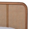 King Elston Wood & Synthetic Rattan Platform Bed Brown/Ash Walnut - Baxton Studio: Mid-Century Design, Turned Legs - 4 of 4
