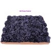 Floral Home 5" Stem Long Navy Blue Carnation Pick - 100-Piece - 4 of 4