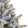 National Tree Company 9' Pre-lit Snowy Hudson Pine Artificial Christmas Tree with Warm White LED Lights and PowerConnect - image 3 of 4