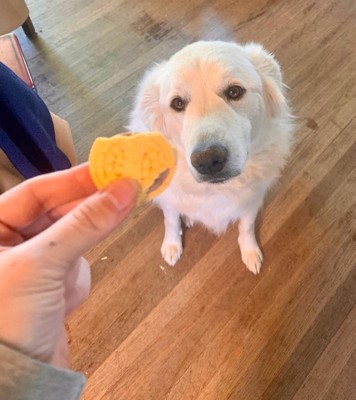 Guest review image 6 of 6, zoom in