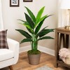 Northlight 4.25' Unlit Green Artificial Traveller's Tree with Black Pot - 2 of 4
