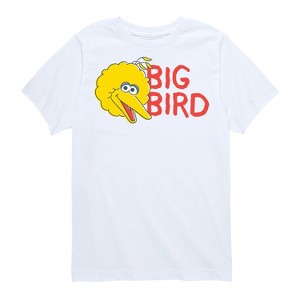 Boys' - Sesame Street - Big Bird Short Sleeve Graphic T-Shirt - 1 of 4