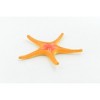 Collectible Wildlife Gifts | Starfish,  Ross, Sea Star, Echinoderms, Asteroidea, Ocean, Sea Life, Plastic,  Toy,  Life Like, Gift,  2 1/4"  F927 B158 - 4 of 4