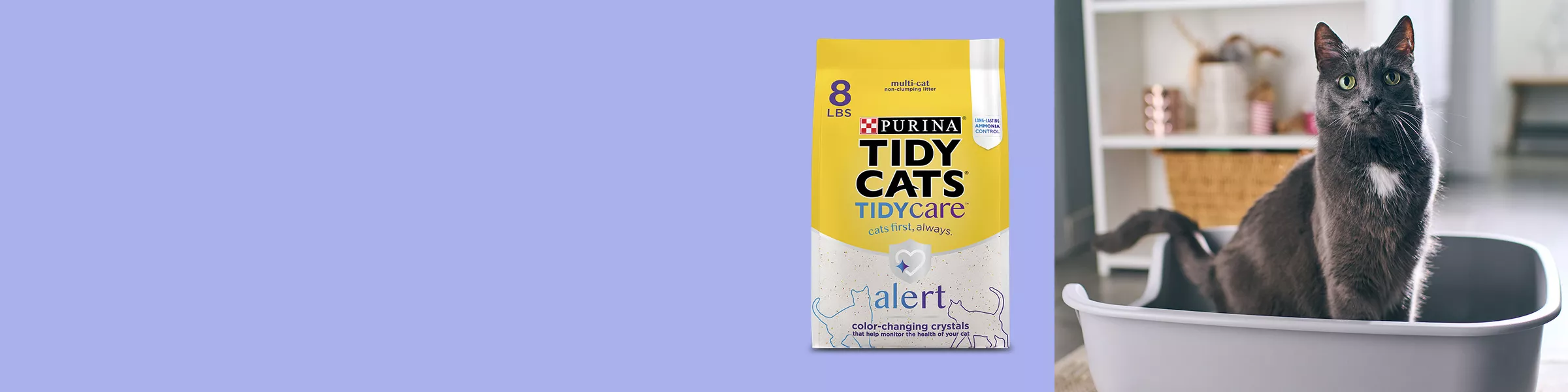 Cat Litter & Litter Boxes Target