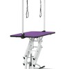 YOOCOZZ 42.5'' Adjustable Heavy Type Hydraulic Pet Dog Grooming Table (Upgraded) with Adjustable Arm and Noose-Purple - 4 of 4
