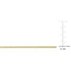 EVERLY JEWELRY | Silver Rolo Chain Necklace– Multiple Metal color Options - 4 of 4