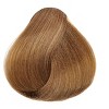 L'oreal Tecnique HiColor Blondes for Dark Hair Only (#H17 SANDSTONE BLONDE) Loreal HighColor Permanent Dye High Color - 3 of 3