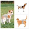 Unique Bargains Female Dog Period Diapers Washable Reusable with Adjustable Suspender - 4 of 4