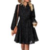 Women's Elegant Vintage - Style Lace Long - Sleeve Dress, Button - Down Party & Date Night Dress with Tiered Skirt - 4 of 4