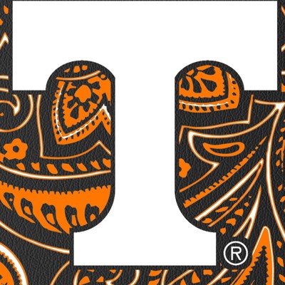 tennessee volunteers