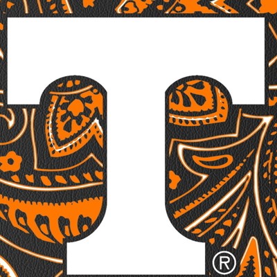 tennessee volunteers
