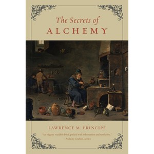 The Secrets of Alchemy - (Synthesis) by  Lawrence M Principe (Paperback) - 1 of 1