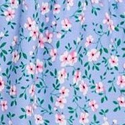 light blue flower
