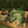 Orieon 57"x57"x77" Walk-In Greenhouse with PE Cover, 12 Shelves & Anchors for Indoor/Outdoor Gardening. - 3 of 4