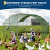 Heavy-duty walk-in chicken coop, large poultry cage with waterproof UV-resistant cover and round top design, suitable for backyard - 3 of 4