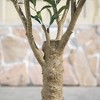 DR.Planzen 7FT Artificial Olive Tree with Thick Stump - UV Resistant Faux Plant for Indoor/Outdoor, Black Pot & Realistic Green Leaves - 3 of 4