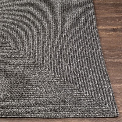 Cuijk Charcoal 3' x 5' Braided Synthetic Stain-Resistant Area Rug
