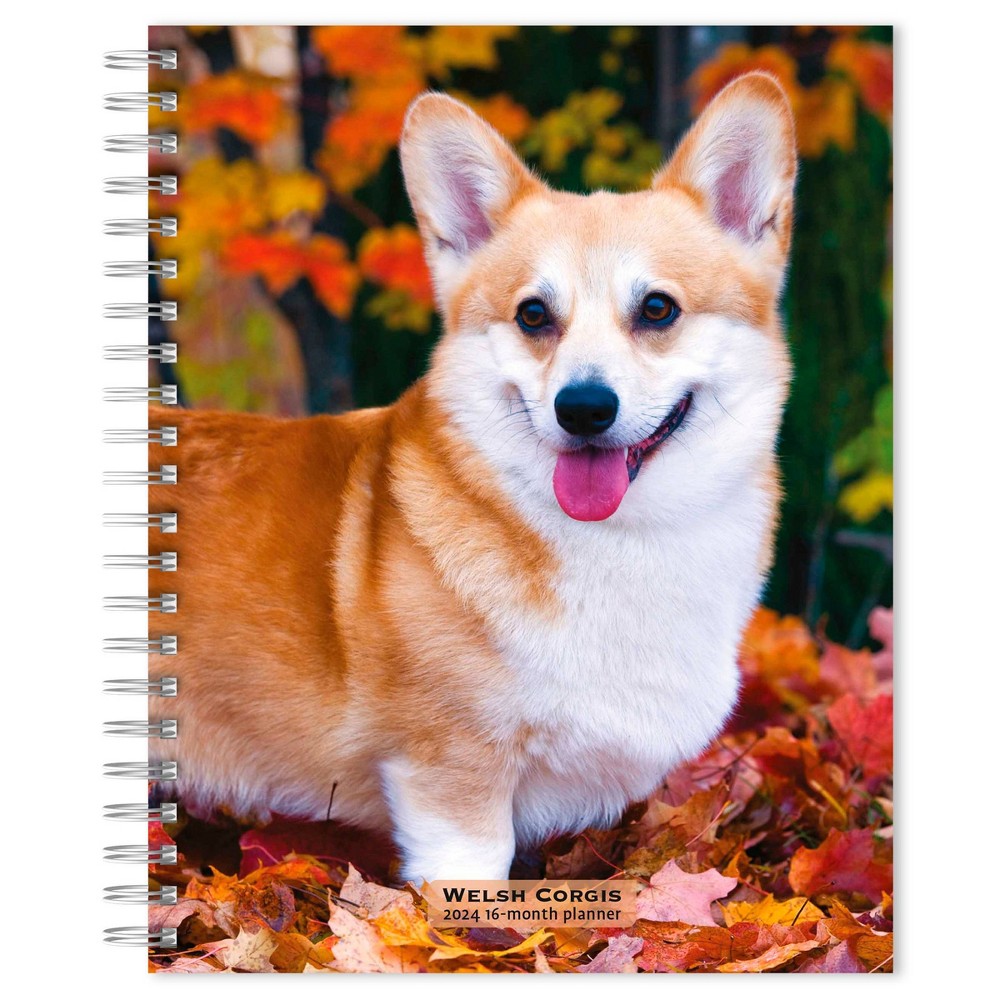 Photos - Other interior and decor Browntrout 23- Weekly/Monthly Planner 7.5"x7.125" Welsh Corgis 2024