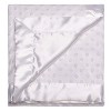 Baby Starters Soft Plush Baby Blanket, 30 inch x 40 inch - 2 of 3