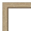 Amanti Art Astor Champagne Non-Beveled Bathroom Wall Mirror - image 3 of 4