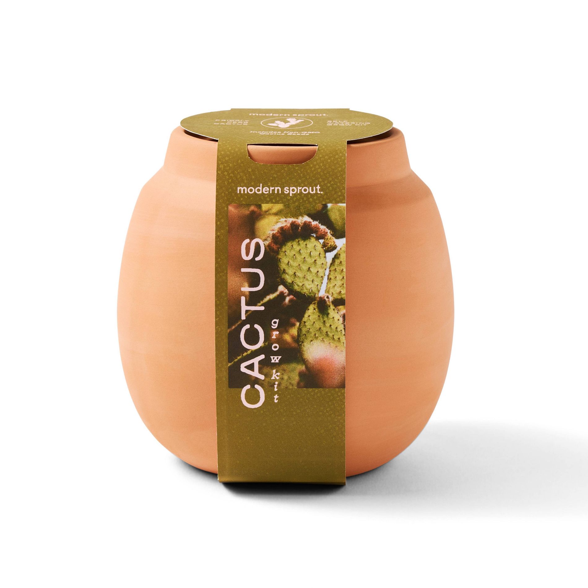Modern Sprout Prickly Pear Cactus Green Succulent Kit