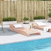 vidaXL Sun Lounger Natural wood Solid Douglas wood 80.7 x 27.6 x 12.4 in - 3 of 4