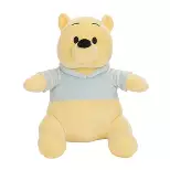 Winnie Pooh Plush Toys : Target