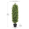 COWLOWN 4FT Artificial Boxwood Topiary Trees, Set of 2 - 48 Inch Faux Evergreen Shrubs for Outdoor Planters, Front Porch & Patio Decor - 2 of 4