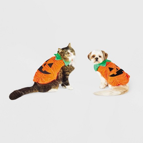 Plush Pumpkin Dog and Cat Costume - Hyde & EEK! Boutique™ - image 1 of 4