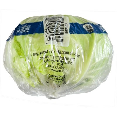 Fresh Organic Green Cabbage - each