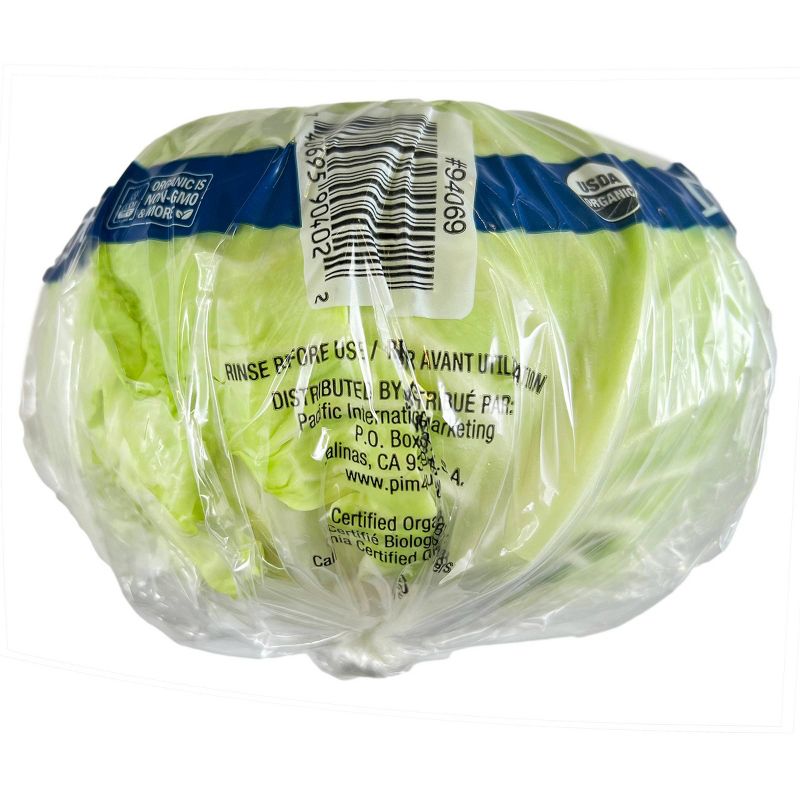 Organic Green Cabbage - each, 3 of 4