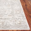 Mason MSN111 Power Loomed Indoor Rugs - Safavieh - 3 of 4