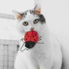 Spot Ethical Products Ethical Products Buzzing Insects 5" Cat Toy - Assorted - 2 of 3