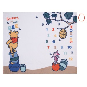 NoJo Disney Winnie the Pooh White, Blue, and Yellow Sweet As Can Bee Super Soft Photo Op Milestone Baby Blanket - 1 of 4