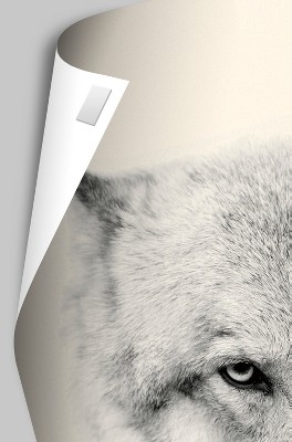 Lucia Heffernan Yoga Chicks Multicolor Premium Poster with White Mounts